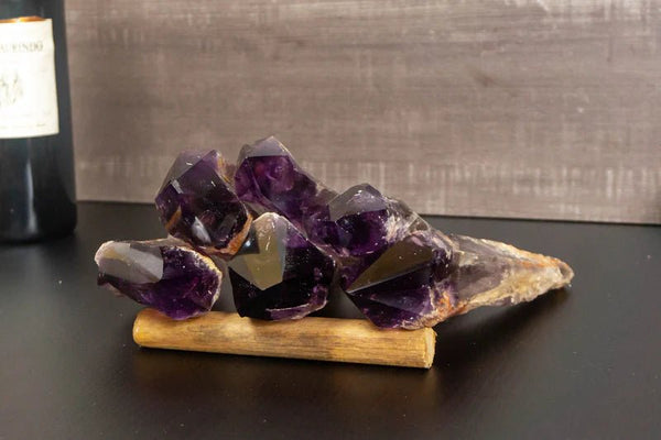 Increasing Spiritual Practice with Dragon Tooth Amethyst Crystal - E2D Crystals & Minerals