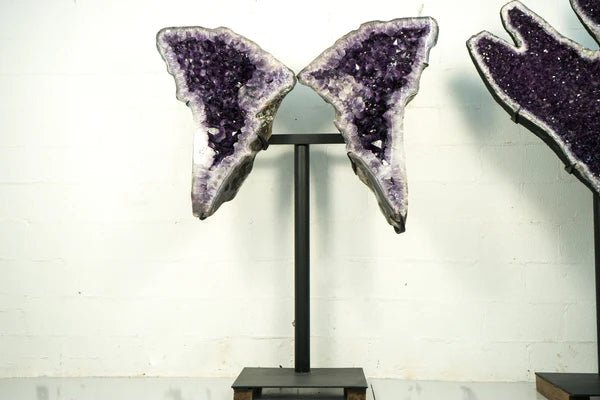 Improve the Beauty of Your Space With Our Unique Agate Amethyst Geode - E2D Crystals & Minerals