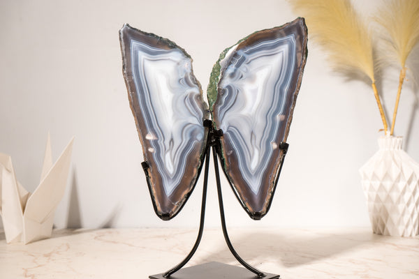 All - Natural Blue Lace Agate Geode Wings – Gorgeous Agate Drawings and a Polished Butterfly on Stand - 13 In - 5 Lb - E2D Crystals & Minerals