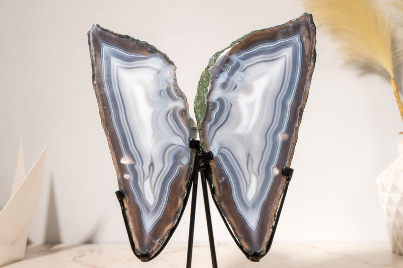 All - Natural Blue Lace Agate Geode Wings – Gorgeous Agate Drawings and a Polished Butterfly on Stand - 13 In - 5 Lb - E2D Crystals & Minerals