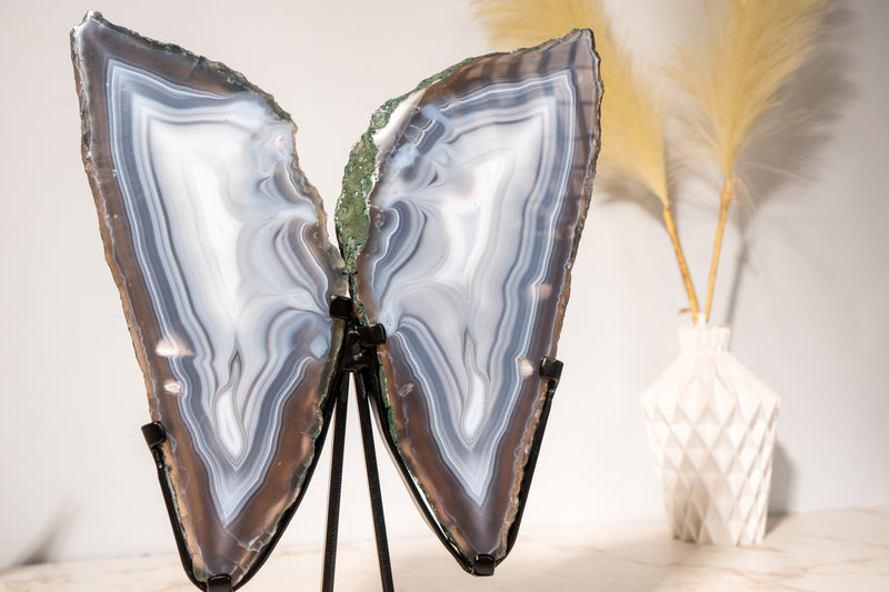 All - Natural Blue Lace Agate Geode Wings – Gorgeous Agate Drawings and a Polished Butterfly on Stand - 13 In - 5 Lb - E2D Crystals & Minerals