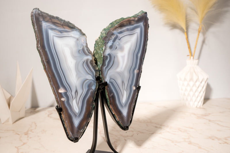 All - Natural Blue Lace Agate Geode Wings – Gorgeous Agate Drawings and a Polished Butterfly on Stand - 13 In - 5 Lb - E2D Crystals & Minerals