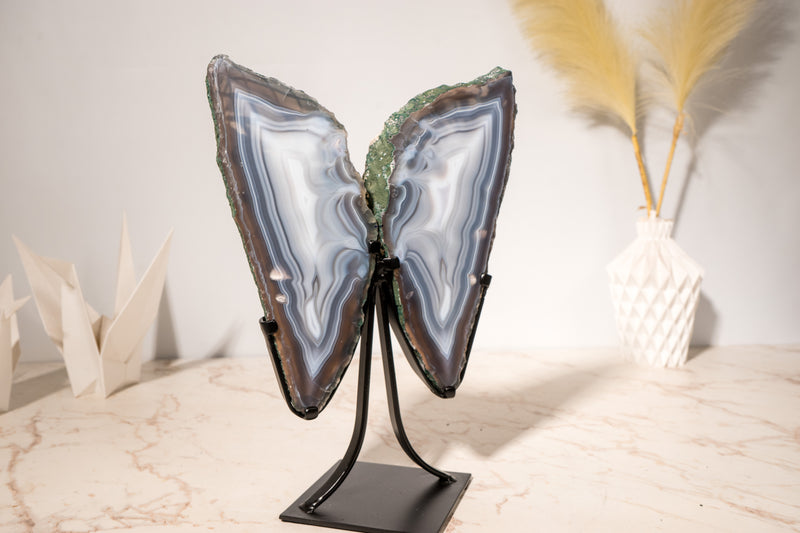 All - Natural Blue Lace Agate Geode Wings – Gorgeous Agate Drawings and a Polished Butterfly on Stand - 13 In - 5 Lb - E2D Crystals & Minerals