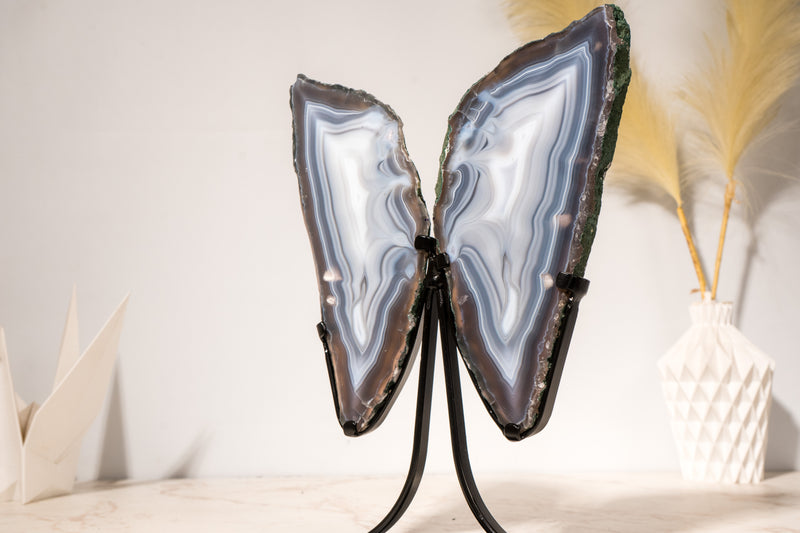 All - Natural Blue Lace Agate Geode Wings – Gorgeous Agate Drawings and a Polished Butterfly on Stand - 13 In - 5 Lb - E2D Crystals & Minerals