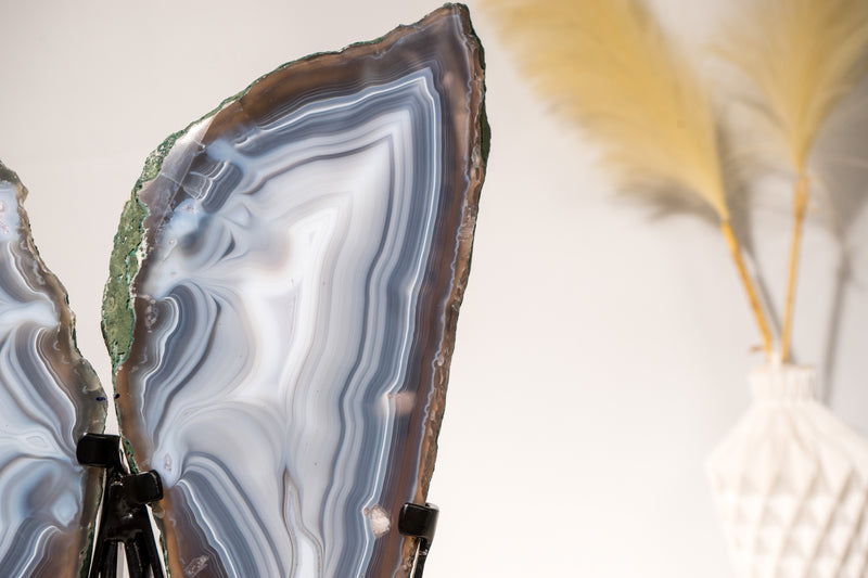 All - Natural Blue Lace Agate Geode Wings – Gorgeous Agate Drawings and a Polished Butterfly on Stand - 13 In - 5 Lb - E2D Crystals & Minerals