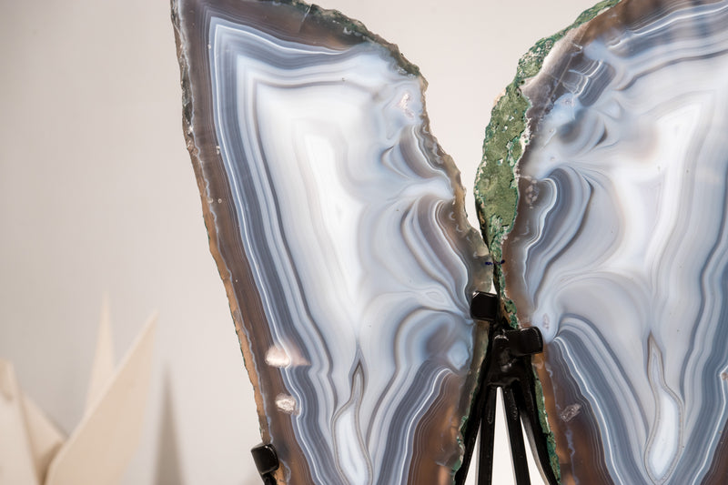 All - Natural Blue Lace Agate Geode Wings – Gorgeous Agate Drawings and a Polished Butterfly on Stand - 13 In - 5 Lb - E2D Crystals & Minerals