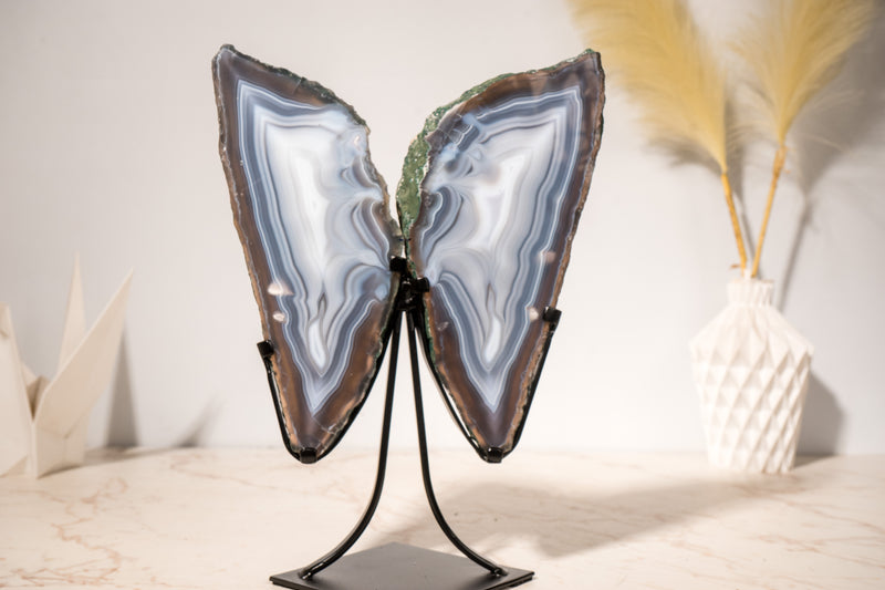 All - Natural Blue Lace Agate Geode Wings – Gorgeous Agate Drawings and a Polished Butterfly on Stand - 13 In - 5 Lb - E2D Crystals & Minerals