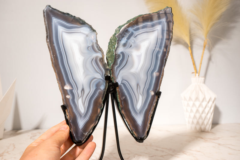 All - Natural Blue Lace Agate Geode Wings – Gorgeous Agate Drawings and a Polished Butterfly on Stand - 13 In - 5 Lb - E2D Crystals & Minerals