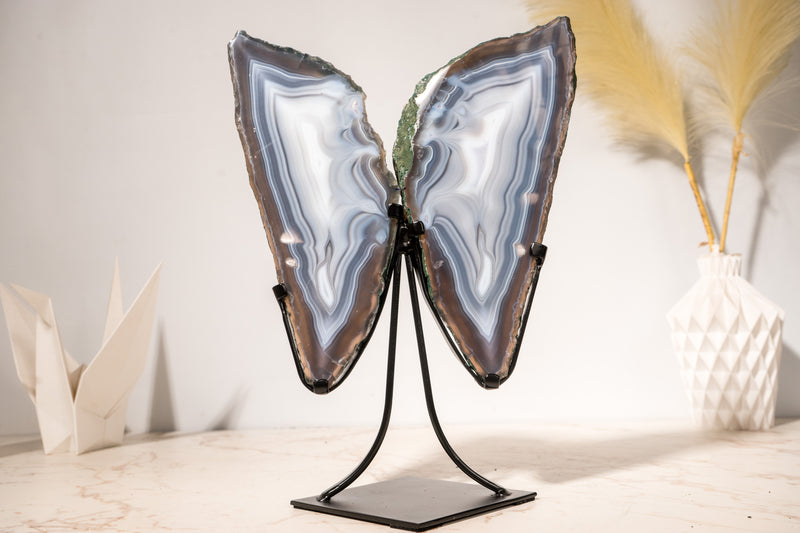 All - Natural Blue Lace Agate Geode Wings – Gorgeous Agate Drawings and a Polished Butterfly on Stand - 13 In - 5 Lb - E2D Crystals & Minerals