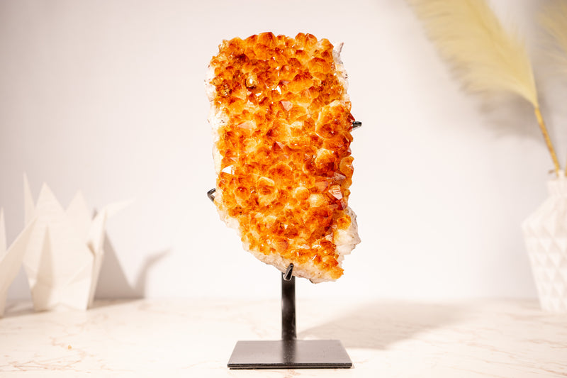 Stunning Small Citrine Cluster with Golden - Orange Druzy on Custom - Made Stand – Perfect for Energy Healing & Home Décor, 2.9 Kg - 6.3 lb - E2D Crystals & Minerals