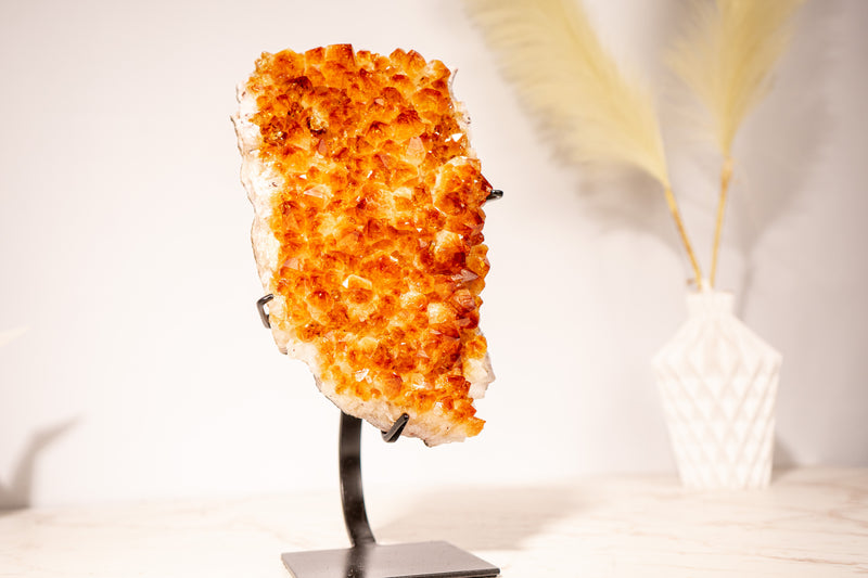 Stunning Small Citrine Cluster with Golden - Orange Druzy on Custom - Made Stand – Perfect for Energy Healing & Home Décor, 2.9 Kg - 6.3 lb - E2D Crystals & Minerals