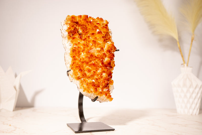 Stunning Small Citrine Cluster with Golden - Orange Druzy on Custom - Made Stand – Perfect for Energy Healing & Home Décor, 2.9 Kg - 6.3 lb - E2D Crystals & Minerals