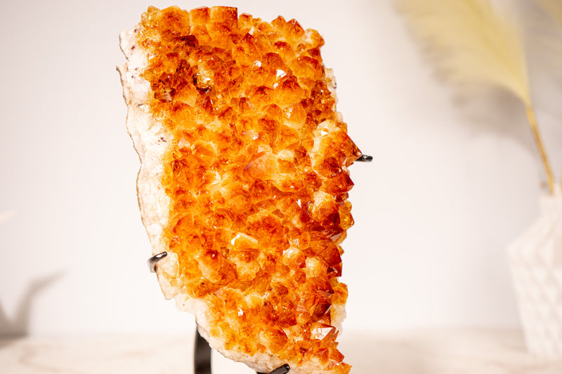 Stunning Small Citrine Cluster with Golden - Orange Druzy on Custom - Made Stand – Perfect for Energy Healing & Home Décor, 2.9 Kg - 6.3 lb - E2D Crystals & Minerals