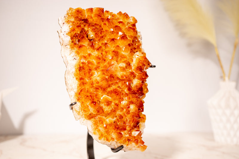 Stunning Small Citrine Cluster with Golden - Orange Druzy on Custom - Made Stand – Perfect for Energy Healing & Home Décor, 2.9 Kg - 6.3 lb - E2D Crystals & Minerals