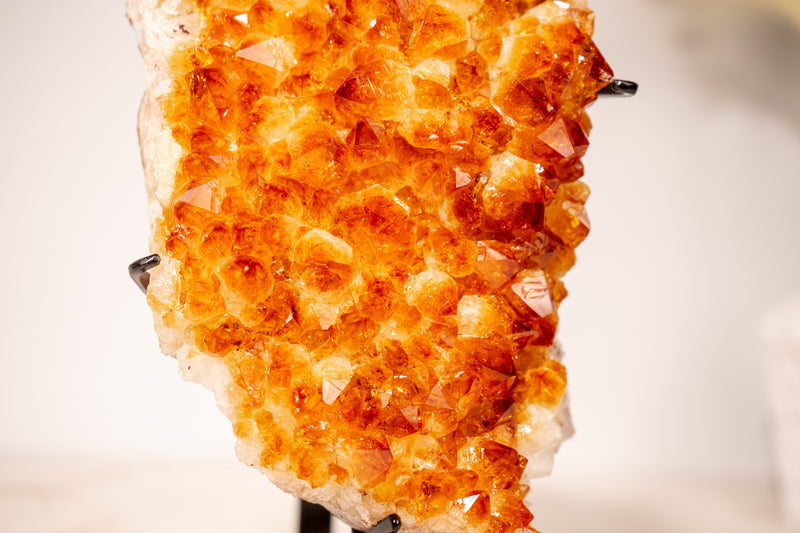 Stunning Small Citrine Cluster with Golden - Orange Druzy on Custom - Made Stand – Perfect for Energy Healing & Home Décor, 2.9 Kg - 6.3 lb - E2D Crystals & Minerals