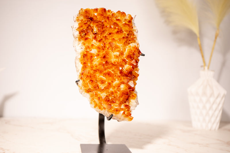 Stunning Small Citrine Cluster with Golden - Orange Druzy on Custom - Made Stand – Perfect for Energy Healing & Home Décor, 2.9 Kg - 6.3 lb - E2D Crystals & Minerals