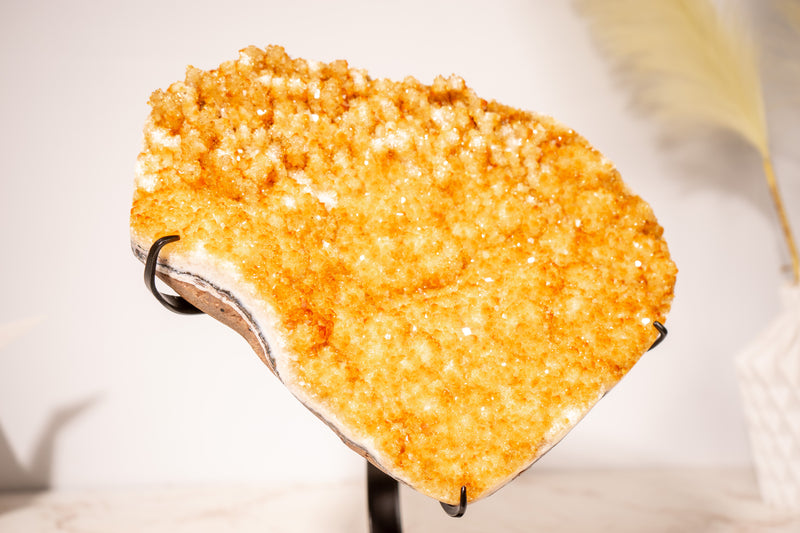 Golden Yellow Citrine Cluster with Small Natural Stalactites and Sparkly Druzy, on Stand - 4.1 Kg - 9 lb - E2D Crystals & Minerals