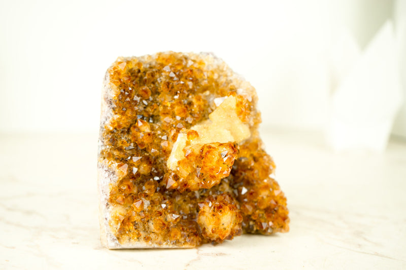 Premium Small Citrine Cluster with Stalactite Flower, High-Grade Druzy and Calcite - E2D Crystals & Minerals