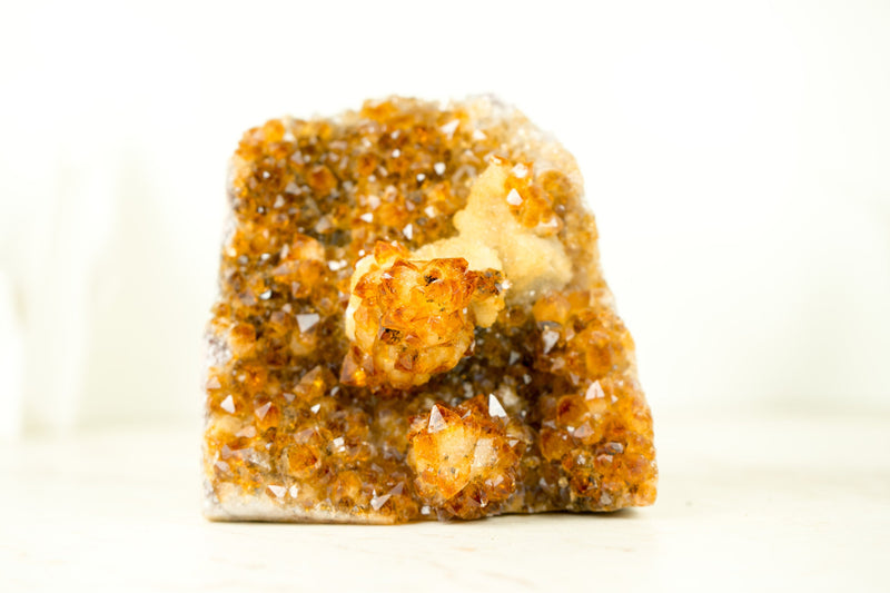 Premium Small Citrine Cluster with Stalactite Flower, High-Grade Druzy and Calcite - E2D Crystals & Minerals