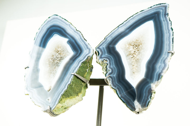 Agate Geode Butterfly Wings Blue and White Agate Banding