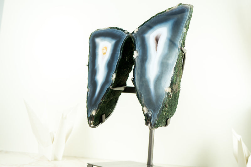 Collector Grade Agate Geode Butterfly Wings