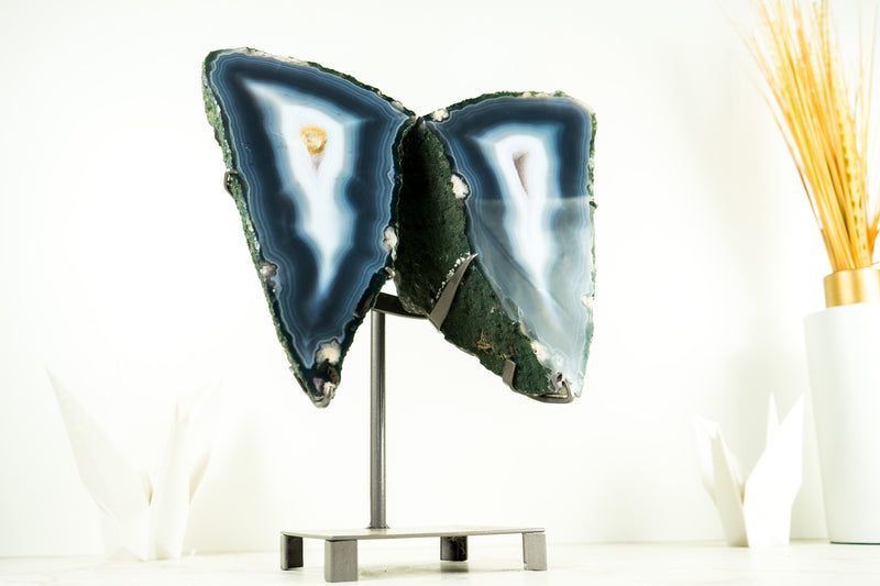 Collector Grade Agate Geode Butterfly Wings