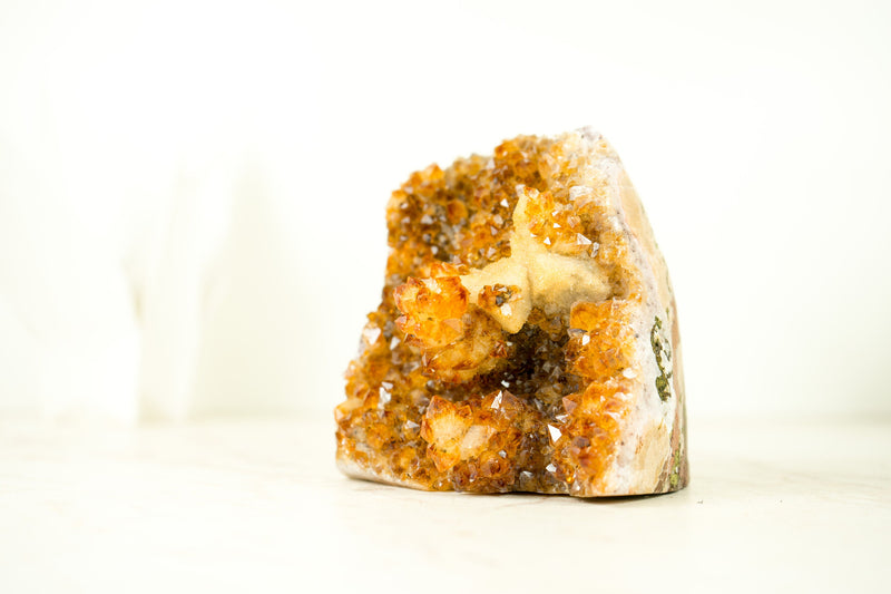 Premium Small Citrine Cluster with Stalactite Flower, High-Grade Druzy and Calcite - E2D Crystals & Minerals