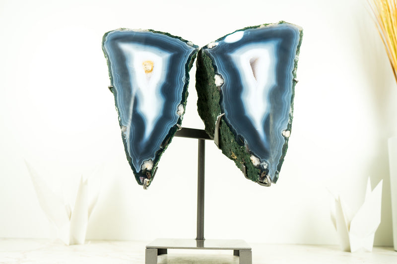 Collector Grade Agate Geode Butterfly Wings