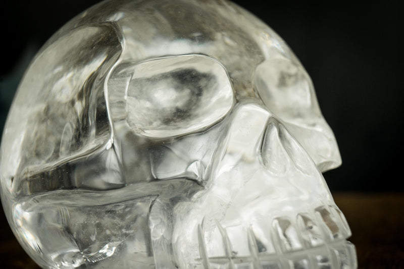 Clear Crystal Quartz Skull, Hand Carved Human Skull on Diamantina Quartz - E2D Crystals & Minerals