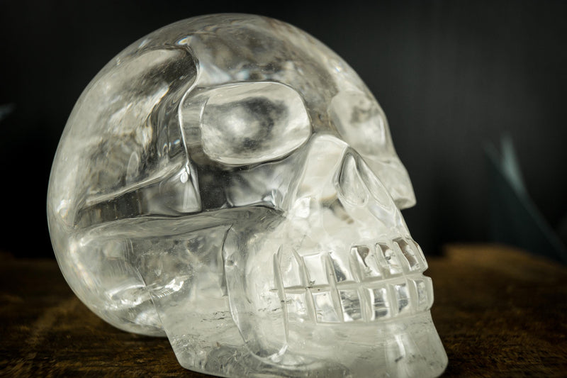 Clear Crystal Quartz Skull, Hand Carved Human Skull on Diamantina Quartz - E2D Crystals & Minerals