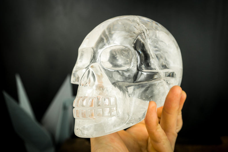 Clear Crystal Quartz Skull, Hand Carved Human Skull on Diamantina Quartz - E2D Crystals & Minerals