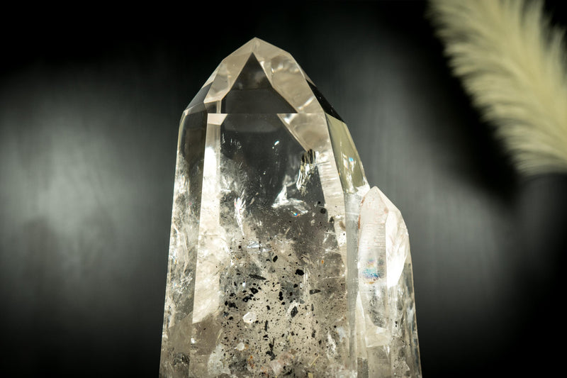 XL AAA Lemurian Quartz Crystal Point from Brazil, Master Crystal from Serra do Cabral - E2D Crystals & Minerals