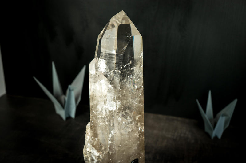 XL AAA Lemurian Quartz Crystal Point from Brazil, Master Crystal from Serra do Cabral - E2D Crystals & Minerals