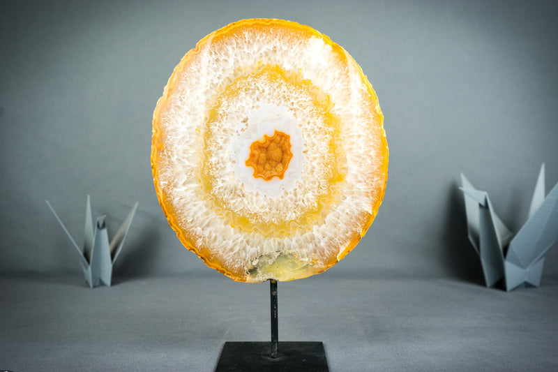 Rare Agate Geode Slice with Natural Orange Galaxy Druzy - E2D Crystals & Minerals