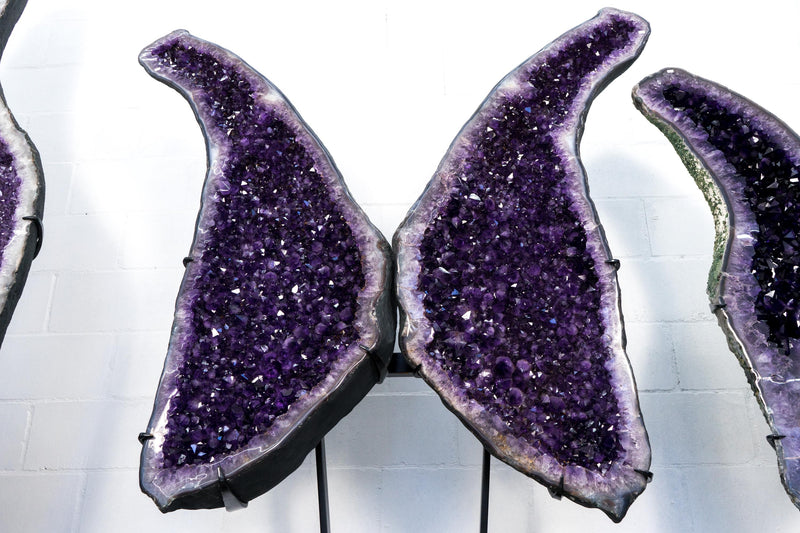 Superb X - Large Amethyst Geode Wings with Purple Amethyst - 6.6 Ft. Special Grade, Sparkly Amethyst Butterfly Wings - E2D Crystals & Minerals