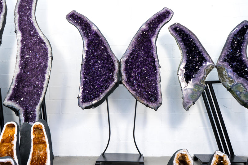 Superb X - Large Amethyst Geode Wings with Purple Amethyst - 6.6 Ft. Special Grade, Sparkly Amethyst Butterfly Wings - E2D Crystals & Minerals