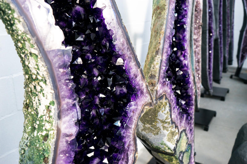 Superb X - Large Grape Jelly Purple Amethyst Geode Wings: A Collection - Grade Amethyst of Super Extra, AAA Grade - 5.9 Ft. Tall, 350 Lb. - E2D Crystals & Minerals