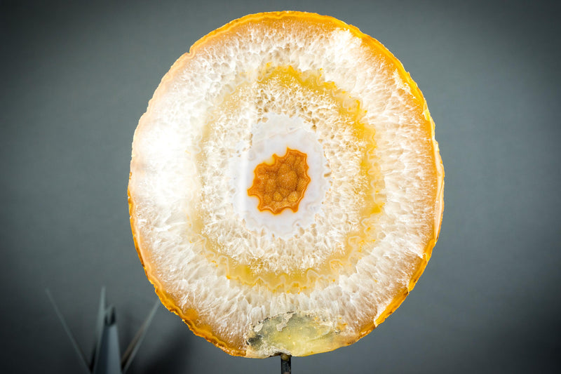 Rare Agate Geode Slice with Natural Orange Galaxy Druzy - E2D Crystals & Minerals