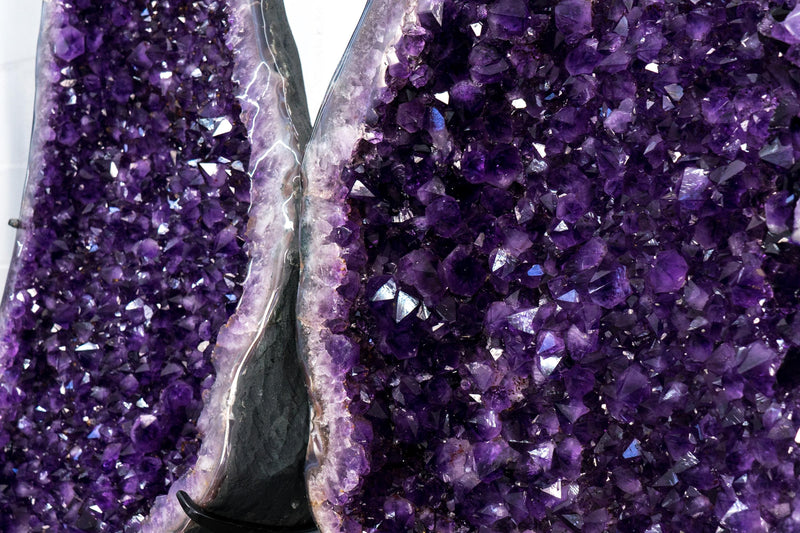 Superb X - Large Amethyst Geode Wings with Purple Amethyst - 6.6 Ft. Special Grade, Sparkly Amethyst Butterfly Wings - E2D Crystals & Minerals