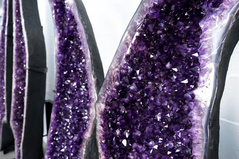 Superb X - Large Amethyst Geode Wings with Purple Amethyst - 6.6 Ft. Special Grade, Sparkly Amethyst Butterfly Wings - E2D Crystals & Minerals