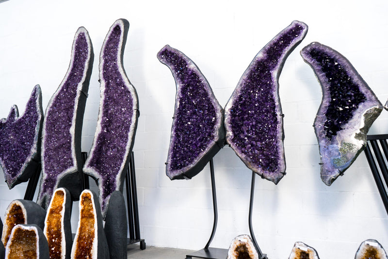 Superb X - Large Amethyst Geode Wings with Purple Amethyst - 6.6 Ft. Special Grade, Sparkly Amethyst Butterfly Wings - E2D Crystals & Minerals