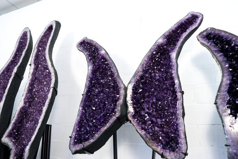 Superb X - Large Amethyst Geode Wings with Purple Amethyst - 6.6 Ft. Special Grade, Sparkly Amethyst Butterfly Wings - E2D Crystals & Minerals