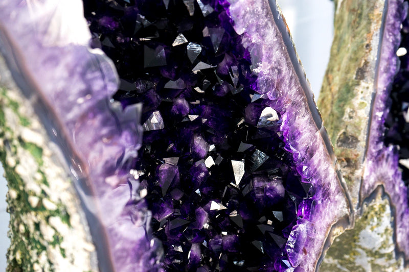 Superb X - Large Grape Jelly Purple Amethyst Geode Wings: A Collection - Grade Amethyst of Super Extra, AAA Grade - 5.9 Ft. Tall, 350 Lb. - E2D Crystals & Minerals