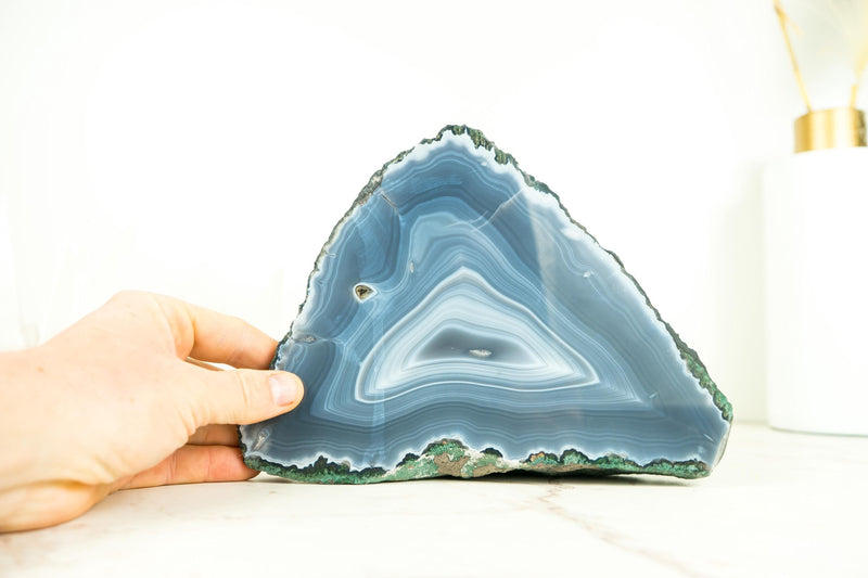 Natürliche blaue Spitzenachat-Geode mit weißen und blauen Achatbändern