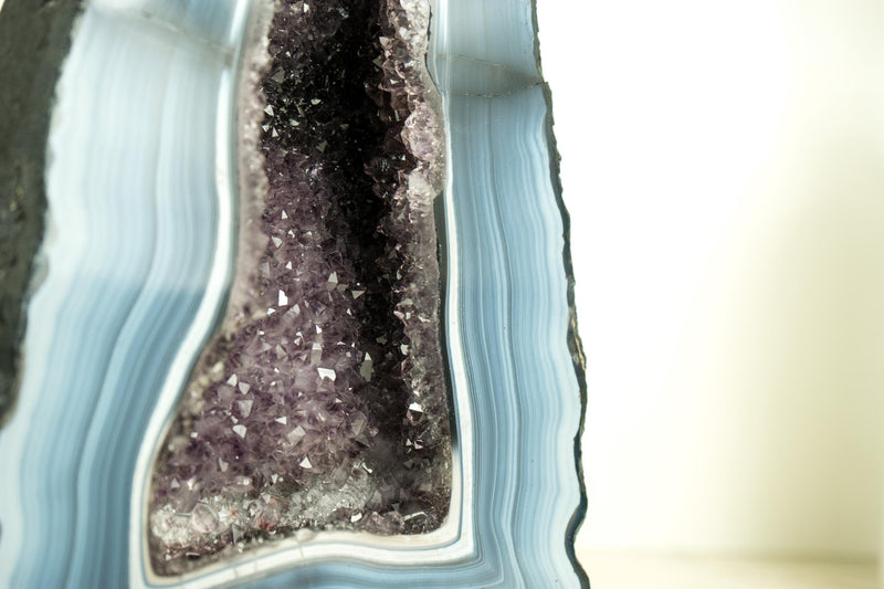 Seltene blau-weiße Spitzenachat-Geode mit gestreiften Bändern und Amethyst-Druzy