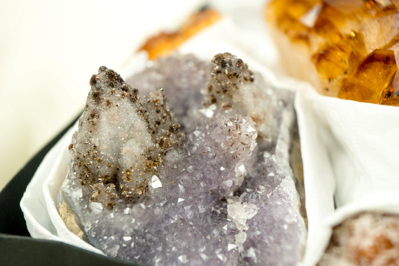 High - Quality, Mixed Amethyst and Citrine Mineral Flat Box, Rare Crystals - E2D Crystals & Minerals