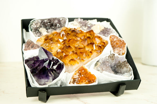 High - Quality, Mixed Amethyst and Citrine Mineral Flat Box, Rare Crystals - E2D Crystals & Minerals