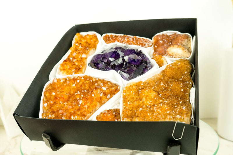 Wholesale Mixed Citrine & Citrine Amethyst Crystals, High - Grade Only - E2D Crystals & Minerals