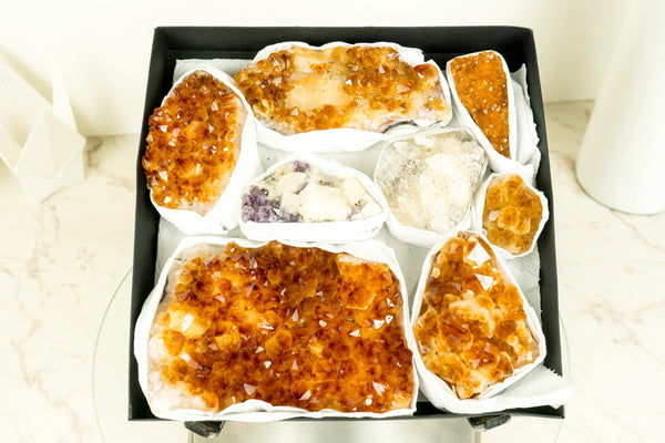 High - Quality, Mixed Citrine and Rare Mineral Flat Box, AAA - Grade Only Crystals - E2D Crystals & Minerals