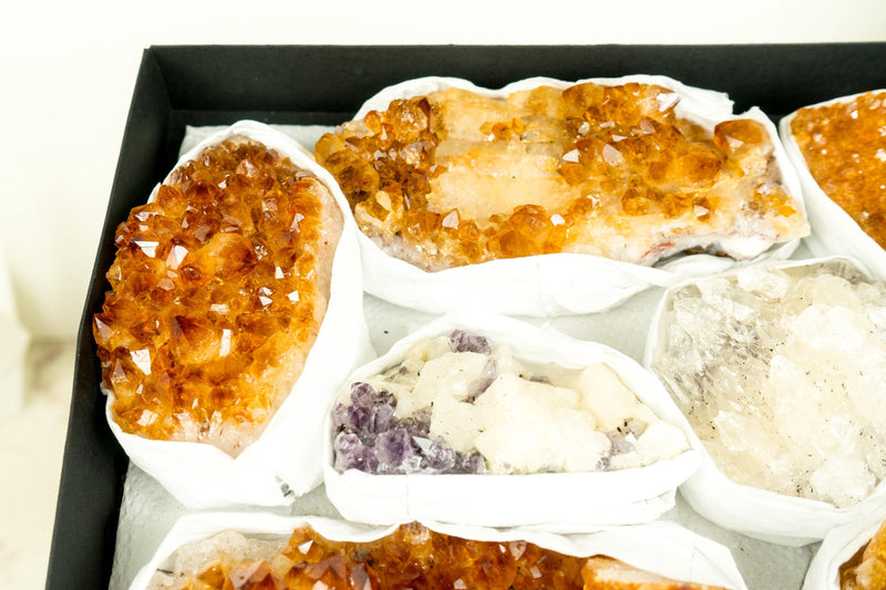 High - Quality, Mixed Citrine and Rare Mineral Flat Box, AAA - Grade Only Crystals - E2D Crystals & Minerals